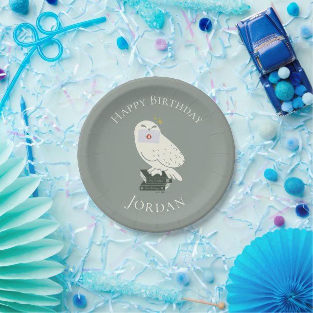 Prato De Papel Hedwig Com Desenho Caprichoso de Carta (Festa)