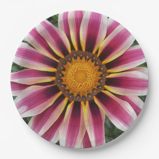 Prato De Papel Hereford (Frente)