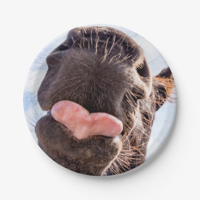 Prato De Papel Hetero da boca do cavalo Fotografia engraçada (Frente)