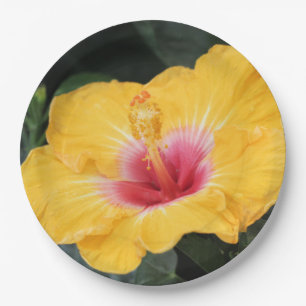 Prato De Papel hibisco amarelo