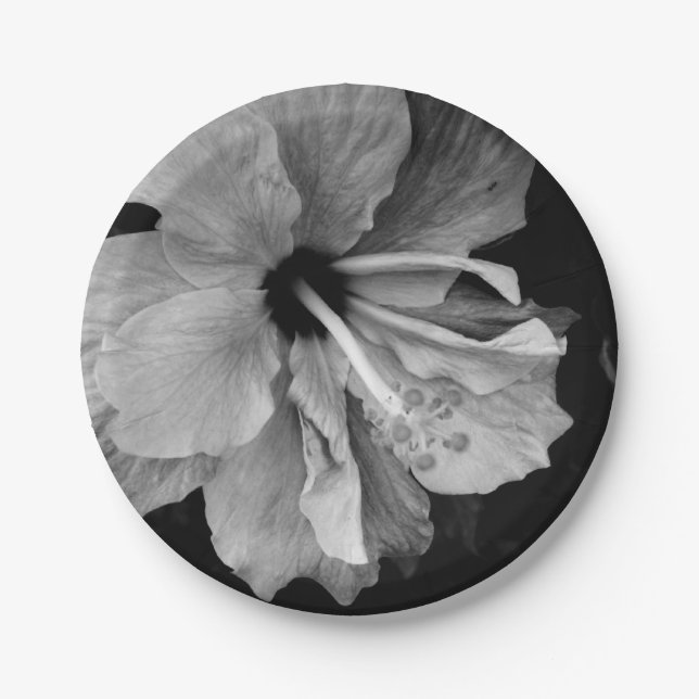 Prato De Papel Hibiscus (Frente)