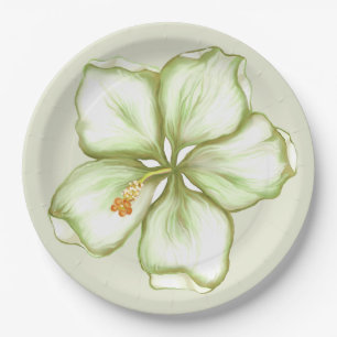 Prato De Papel Hibiscus & lace WHITE