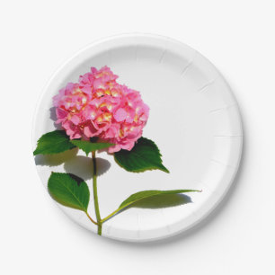 Prato De Papel Hidrangea rosa