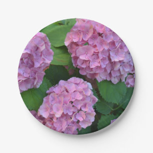 Prato De Papel Hortensia hydrangea rosa