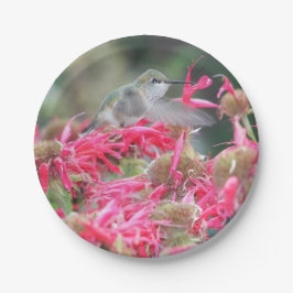 Prato De Papel Hummingbird e Flores Rosa