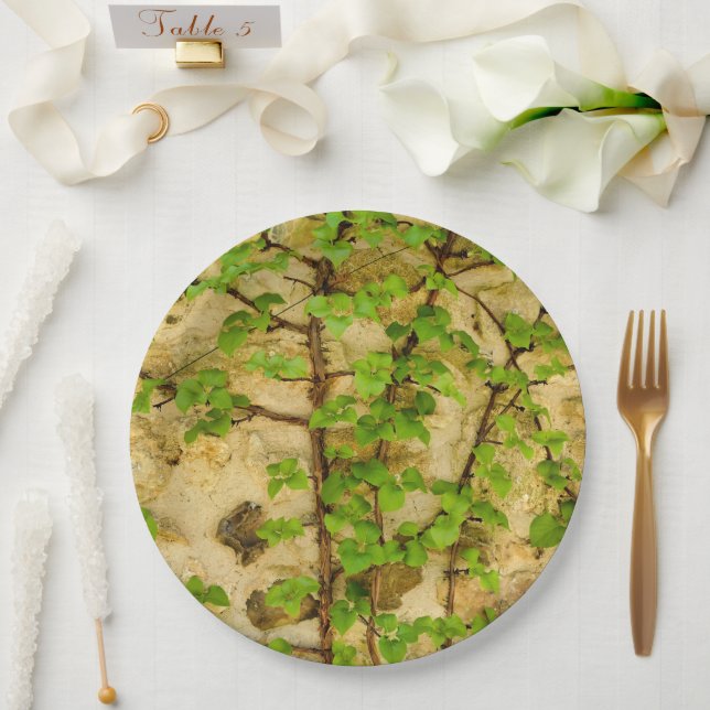 Prato De Papel Hydrangea petiolaris Paper Plate (Casamento)
