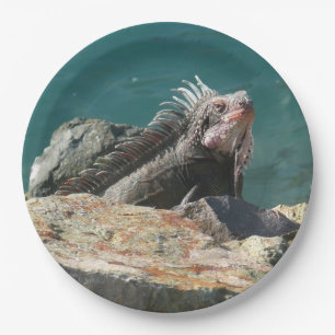 Prato De Papel Iguana na Rua. Thomas Wildlife