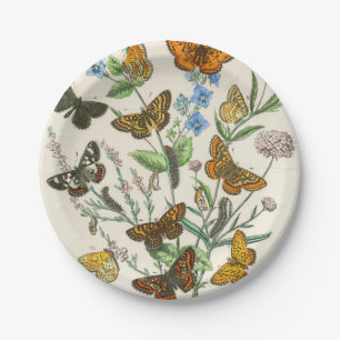 Prato De Papel Illustração 1 das Borboletas e Flores
