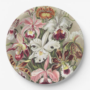 Prato De Papel Impressão Botânica Vintage de Orquídea de Ernst Ha
