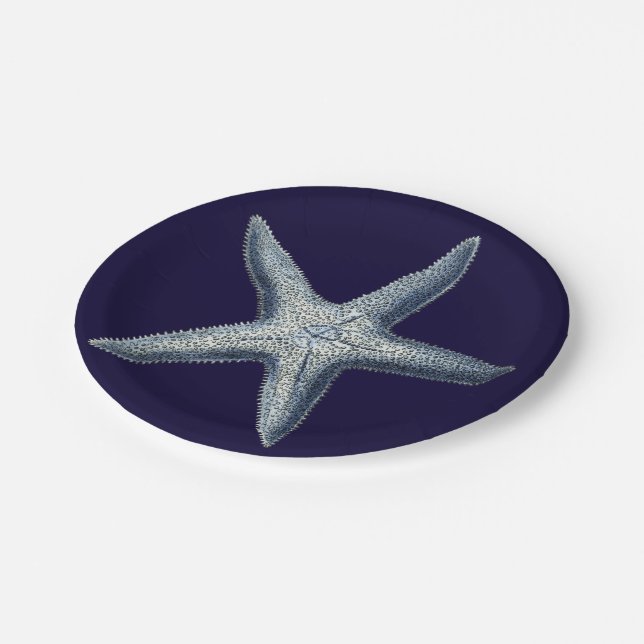 Prato De Papel Indigo Shells IV (Inclinado)