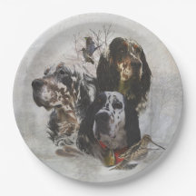 Inglês Setter, caça à galinha