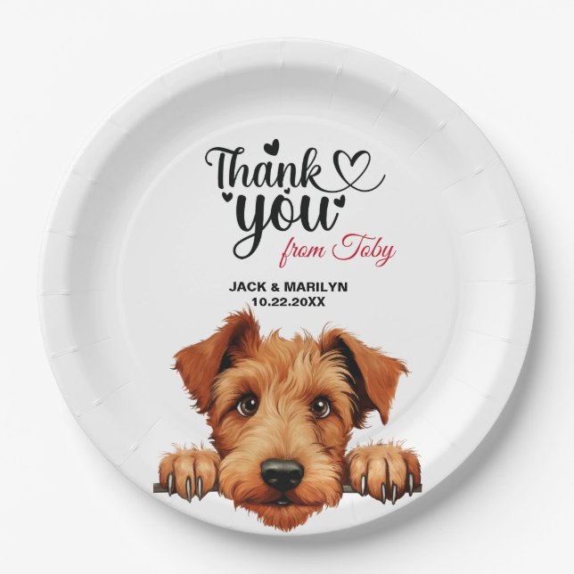 Prato De Papel Irish Terrier (Frente)