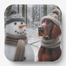 Irlandês Setter Dog com Neve