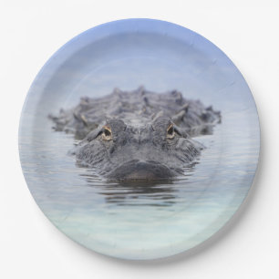 Prato De Papel Jacaré Americano – Lake Apopka Wildlife Drive
