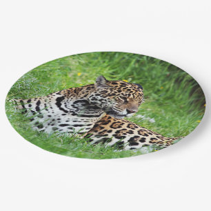 Prato De Papel Jaguar