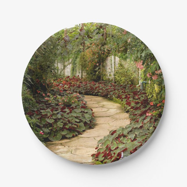 Prato De Papel Jardim de fada de Papel  (Frente)