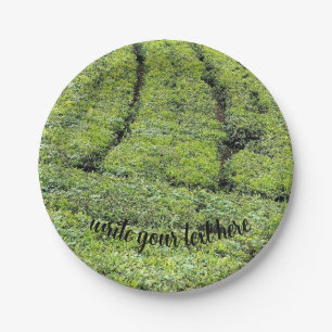 Prato De Papel Jardins de chá de Munnar em