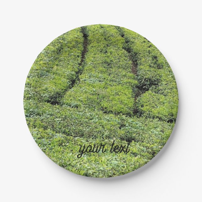 Prato De Papel Jardins de chá de Munnar em  (Frente)