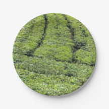 Jardins de chá de Munnar em