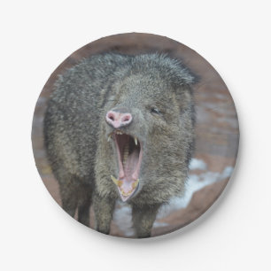 Prato De Papel Javalina com sua boca aberta