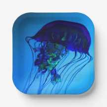 JELLYFISH 2