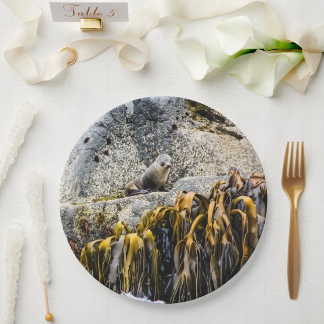 Prato De Papel Jovem Selo De Peles Na Rocha (Casamento)