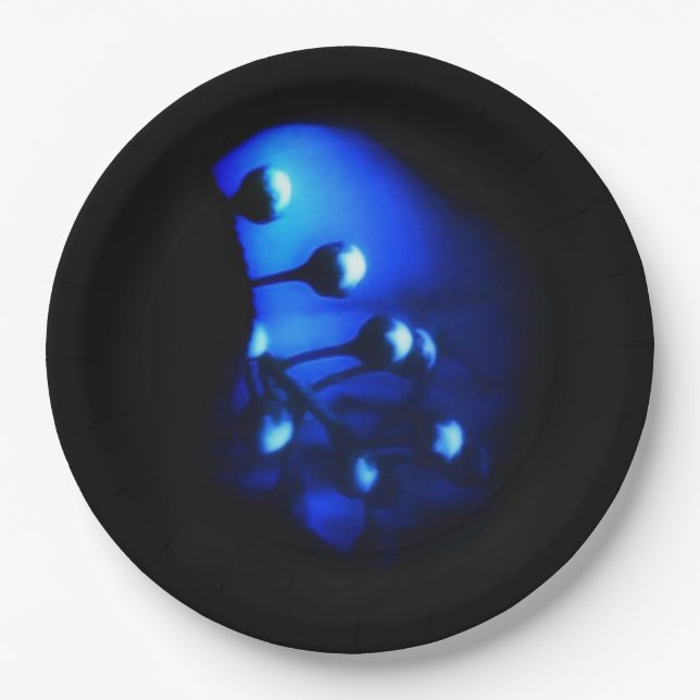 Prato De Papel Kate (Frente)