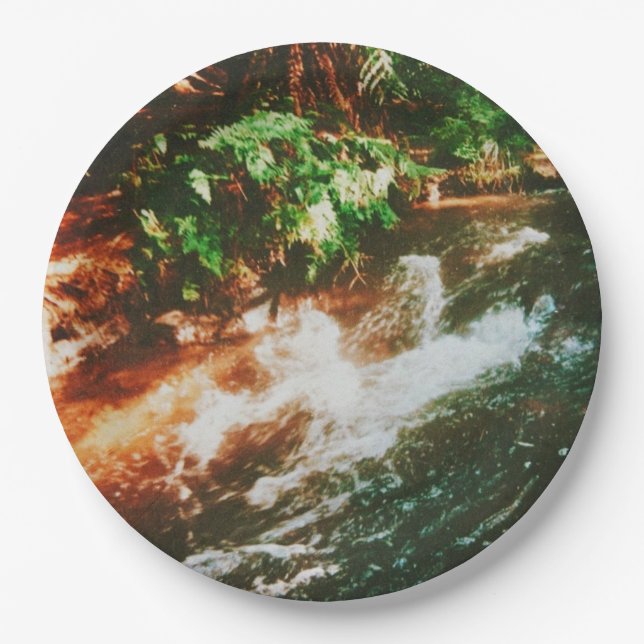 Prato De Papel Kerosene Creek, Rotorua, Nova Zelândia (Frente)