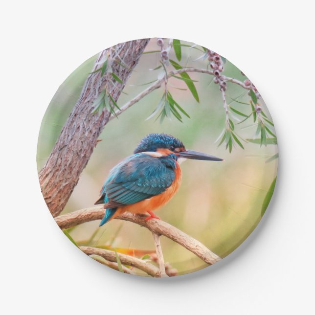Prato De Papel Kingfisher Perch no Branch (Frente)