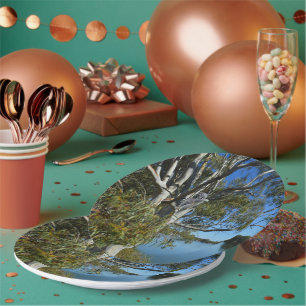 Prato De Papel Koala Bear Dormindo Na Árvore De Goma.