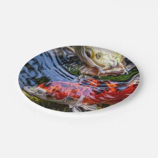 Prato De Papel Koi Fish Pond Japonês