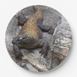 Prato De Papel Komodo
