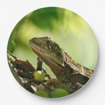 Lagarto australiano que esconde entre as folhas,