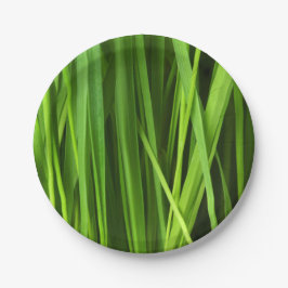 Prato De Papel Lâminas de gramíneas