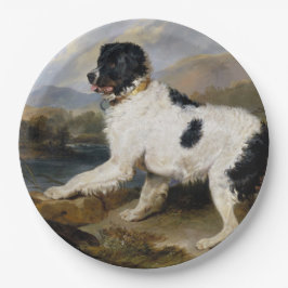Prato De Papel Landseer Newfoundland Dog (Black and White Animal)