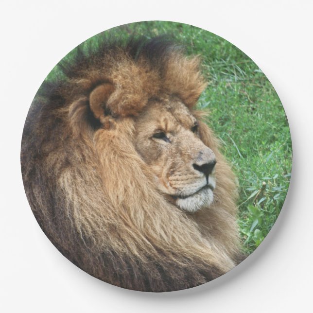 Prato De Papel Leão 001 (Frente)