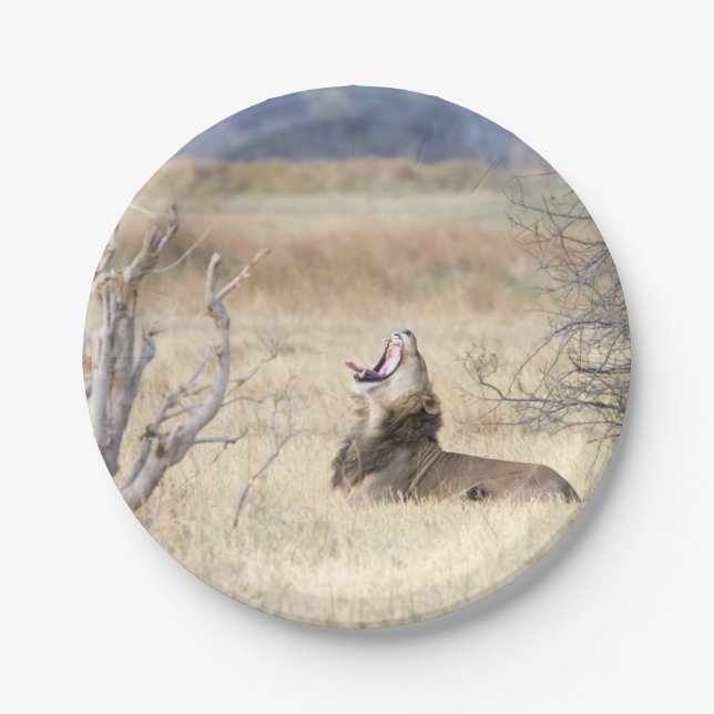 Prato De Papel Leão de bocejo (Frente)