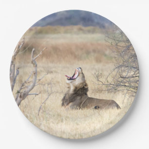 Prato De Papel Leão de boi