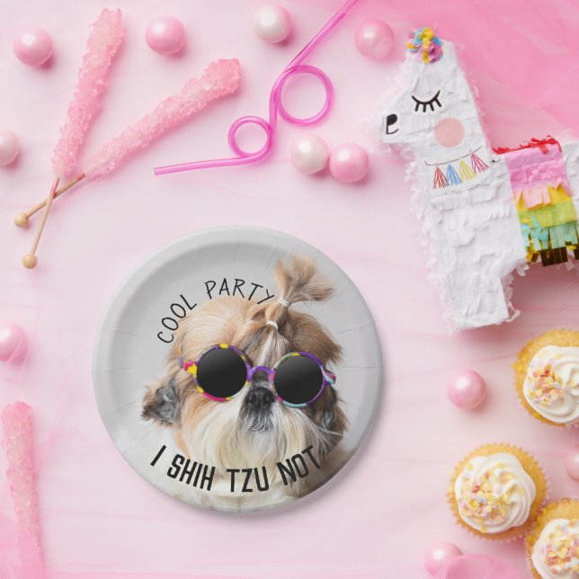 Prato De Papel Legal Shih Tzu Você não diverte a festa dos óculos (Festa)
