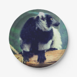 Prato De Papel Lemur