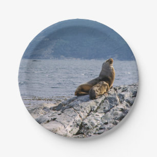 Prato De Papel Leões marinhos no canal do beagle - Argentina