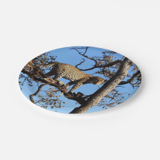Prato De Papel Leopardo em árvore na África