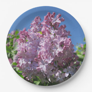 Prato De Papel lilac, primavera, flor, roxo, natureza, floral,