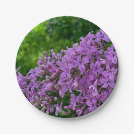 Prato De Papel Lilas roxas românticas elegantes foto floral roxa