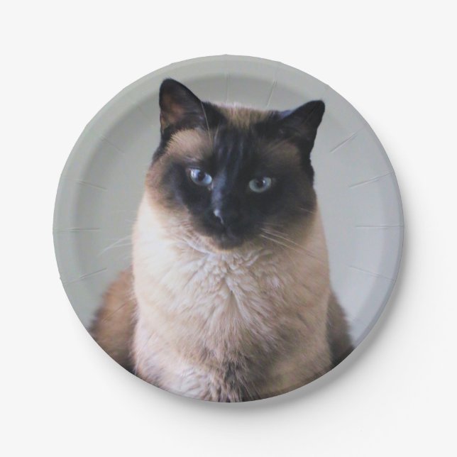 Prato De Papel Lily (Frente)