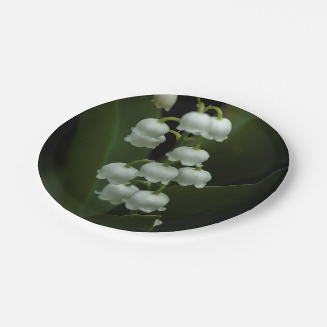 Prato De Papel Lily do Vale-0308 (Inclinado)