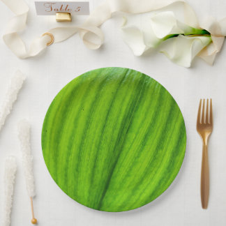 Prato De Papel Lily of the Valley Paper Plate