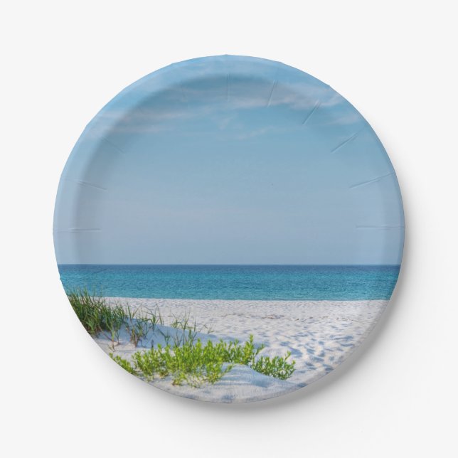 Prato De Papel Linha Costeira White Sandy Beach Florida (Frente)