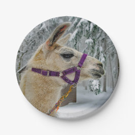 Prato De Papel Llama Snow Photo