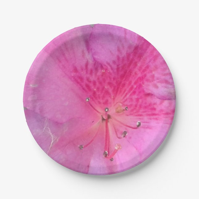 Prato De Papel Louças de festa florais rosa delicado de 7 polegad (Frente)